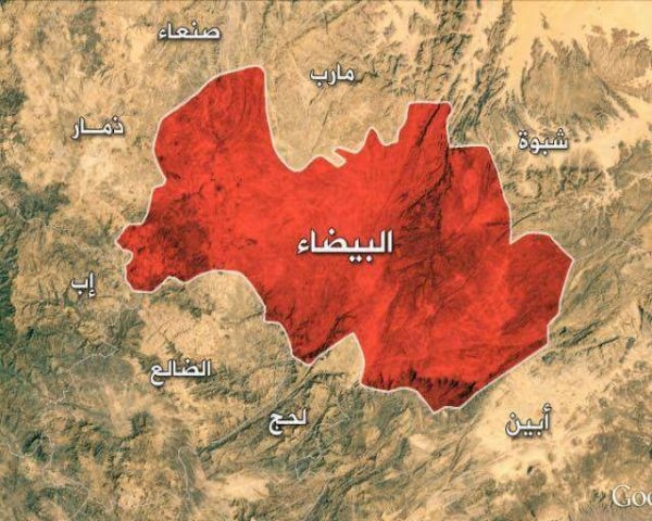 البيضاء: مقتل العشرات من الحوثيين بينهم قيادات ميدانية في مديرتي قانية والقريشية