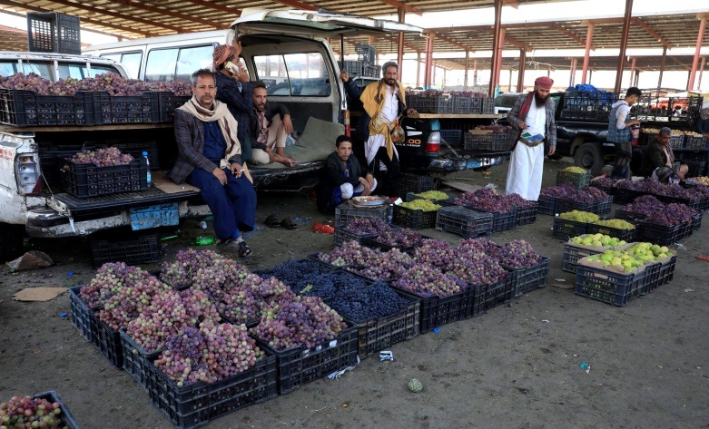 11700 على السلة الواحدة.. مليشيا الحوثي تفرض جبايات باهظة على منتجات "العنب"