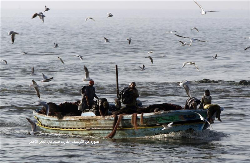 مسلحون صوماليون يستولون على قارب صيد يمني بالقرب من "رأس حافون" بالصومال