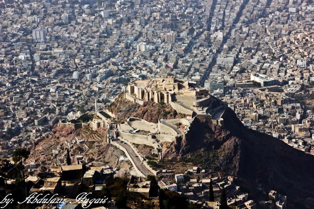 وفاة فتاتين والثالثة في حالة غيبوبة بعد شربهن مبيداً حشرياً مخصصاً للقات في المعافر جنوب تعز